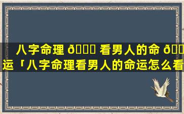 八字命理 🐛 看男人的命 🐞 运「八字命理看男人的命运怎么看」